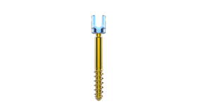 Posterior Thoracolumbar Fixation System